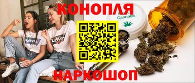 индика Гагарин