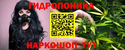 соль ск Гатчина