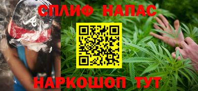 сатива Гай