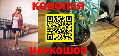 соль ск Гатчина