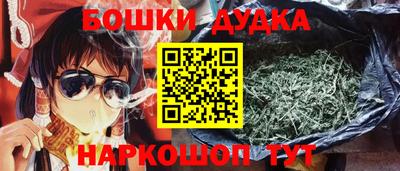 индика Гагарин