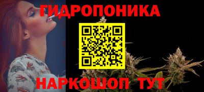 соль ск Гатчина