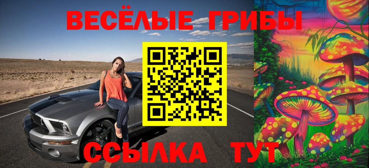 Волжский  Псилоцибиновые грибы ЛСД  Вход с VPN 