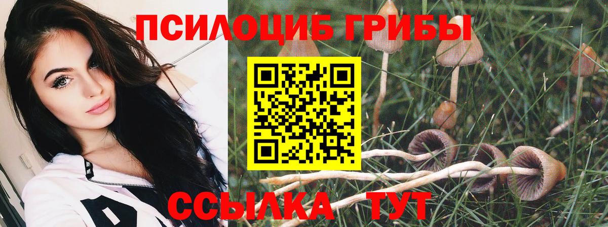 Псилоцибиновые грибы MAGIC MUSHROOMS Волжский